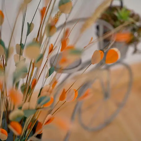 Refugio Do Raposo/casa Vega * Montes da Senhora