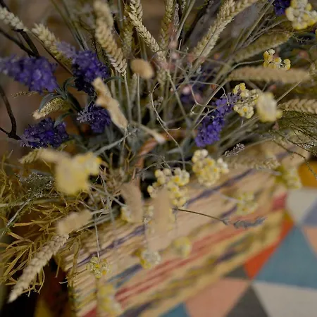 Refugio Do Raposo/casa Vega *